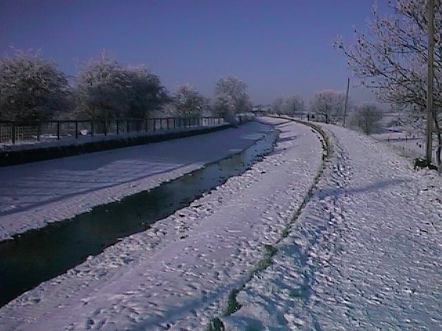 WHITE036.jpg (58192 bytes)