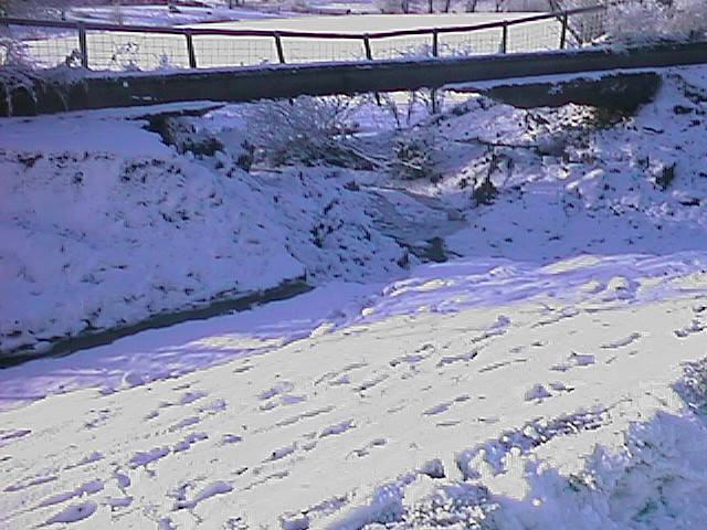 WHITE037.jpg (59773 bytes)