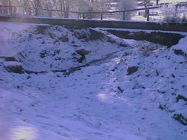 WHITE038.jpg (60073 bytes)