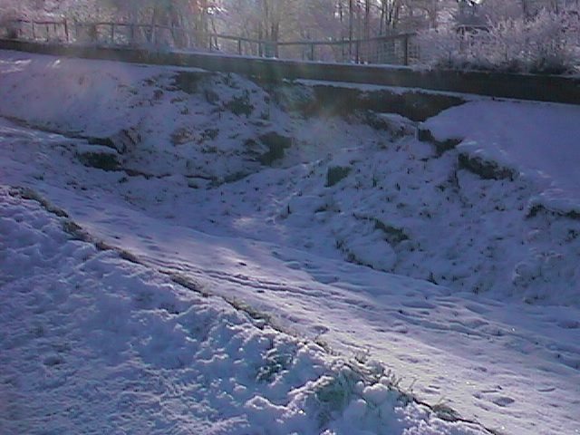 WHITE039.jpg (58966 bytes)