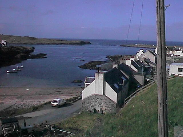 webpa036.jpg (56330 bytes)