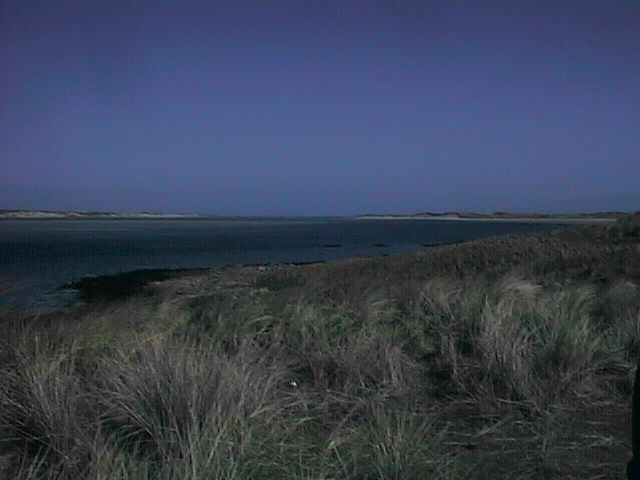 webpa038.jpg (54097 bytes)